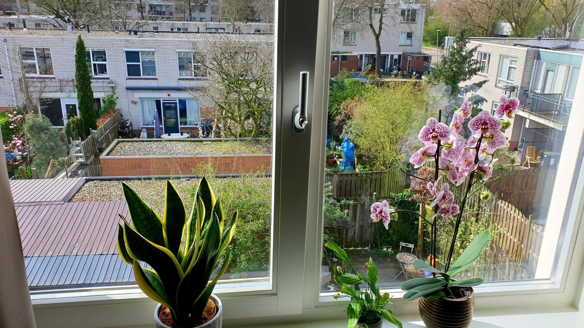 Amor Guesthouse Amszterdam Kültér fotó